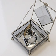 watch jewelry box_1